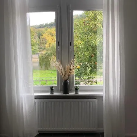 Apartment Direkter Moselblick 126m² Grosser Altbau Und Terrasse
