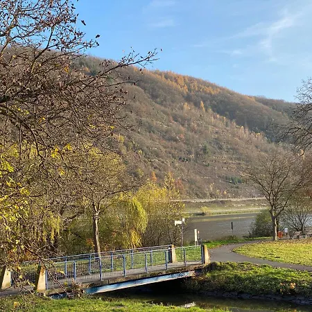 Direkter Moselblick 126m² Grosser Altbau Und Terrasse *