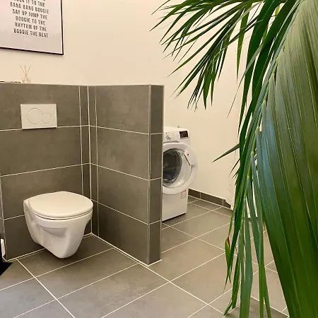 Direkter Moselblick 126m² Grosser Altbau Und Terrasse Apartment Sankt Aldegund