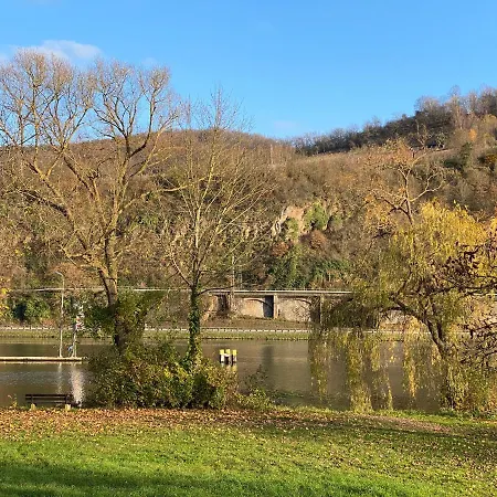 Direkter Moselblick 126m² Grosser Altbau Und Terrasse דירה סנקט אלדגונד