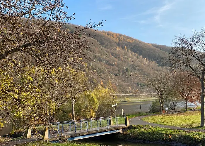 Direkter Moselblick 126m² Grosser Altbau Und Terrasse *