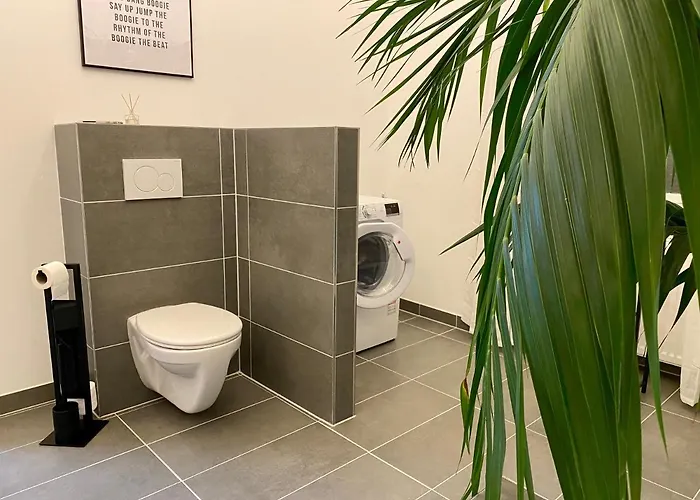 Direkter Moselblick 126m² Grosser Altbau Und Terrasse Apartment Sankt Aldegund